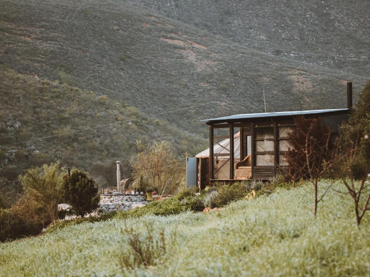 Luxury tent Southern Yurts *