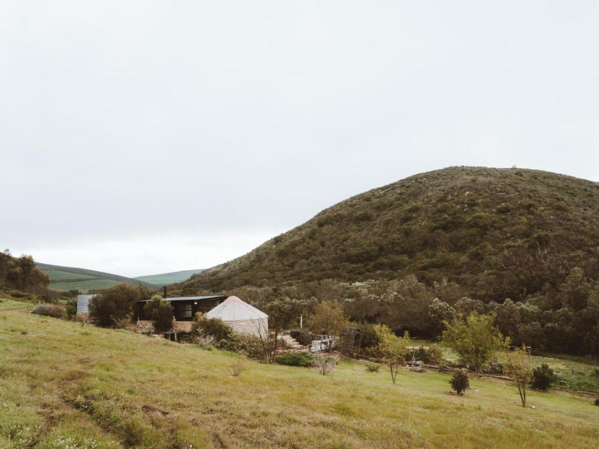 Luxury tent Southern Yurts