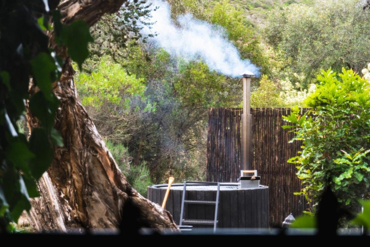 Luxury tent Southern Yurts